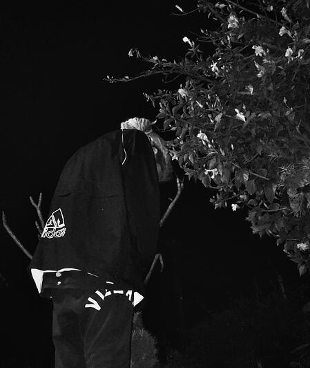 High Resolution Black and Grey Night Time Photograph.